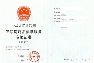 互联网医疗卫生服务许可审核办理流程与信息技术咨询要点解析