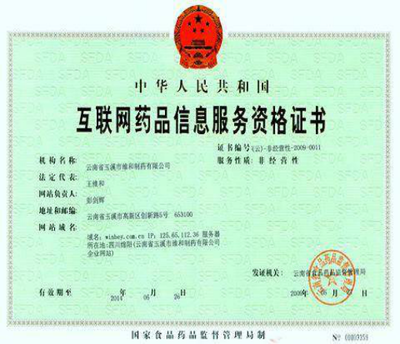 互联网资质与网站手续指南 聚焦信息技术咨询服务